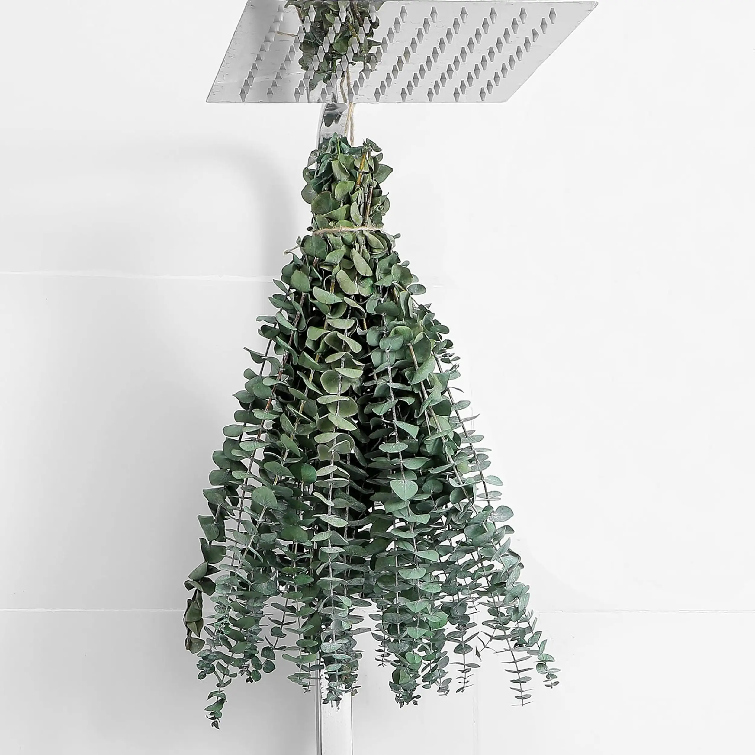10 Pcs Dried Eucalyptus Stems: 17" Real Eucalyptus for Shower Hanging, 100% Made from Fresh Leaves, Wedding, Home, Farmhouse, DIY Spring Decor Bathroom Decor Home Decor